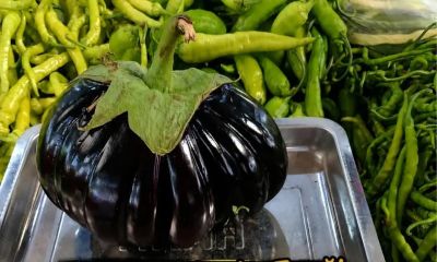 Görenleri şaşırttı, ağırlığı tam 1 kilo 230 gram