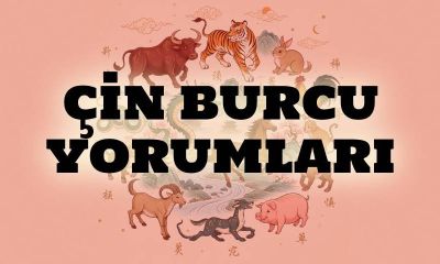 24 Temmuz 2026 Cuma Günü Çin Burcu Yorumları