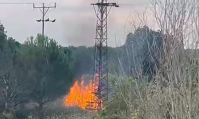 Çan’daki yangın ormana sıçramadan söndürüldü