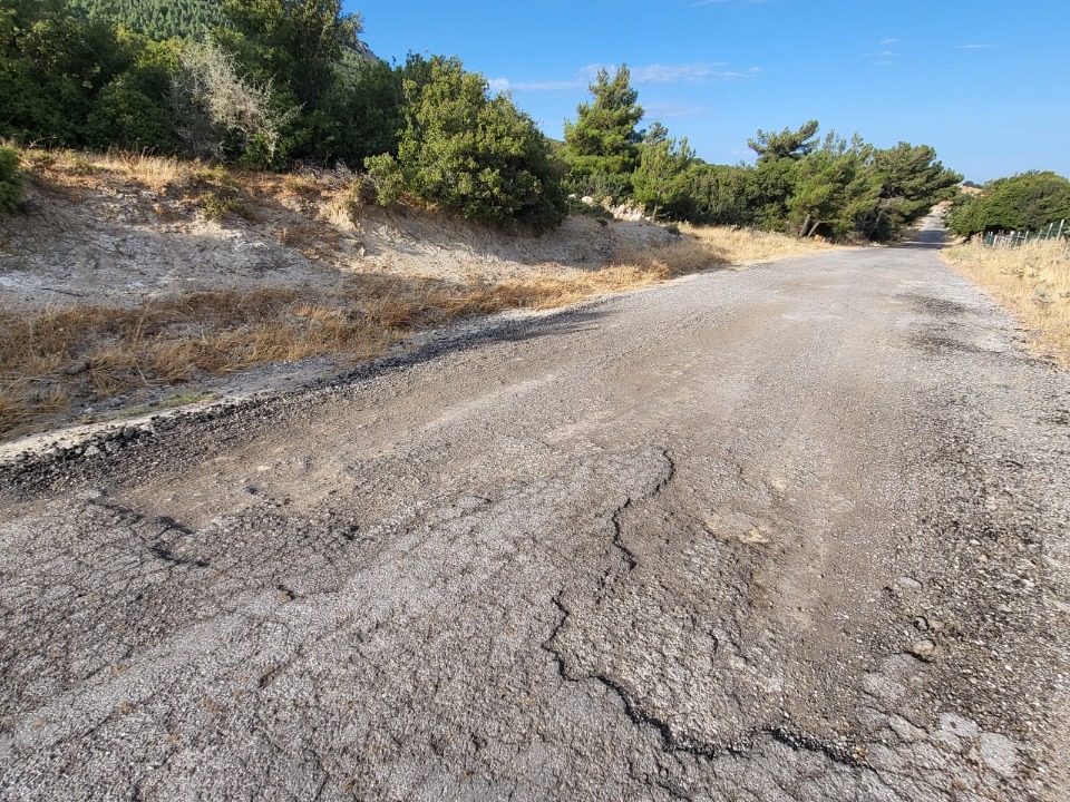 124419_wuciwug_ce69e6d1_belen-tavakli-y.jpeg