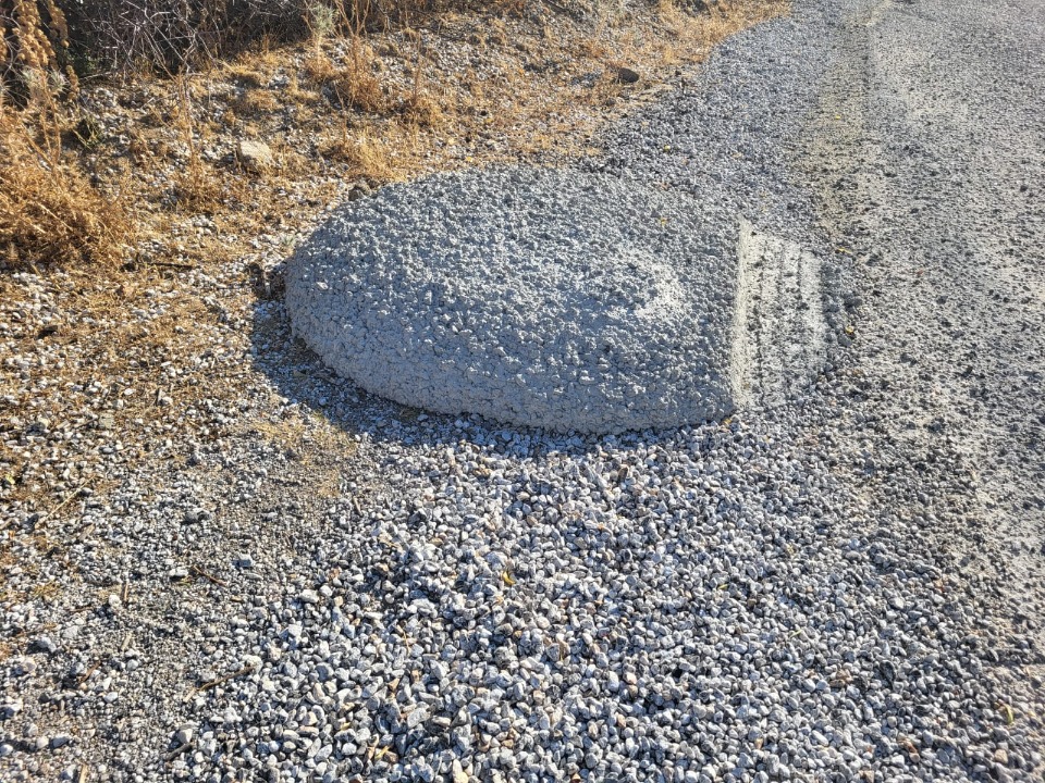 124419_wuciwug_f6416d60_belen-tavakli-y.jpeg