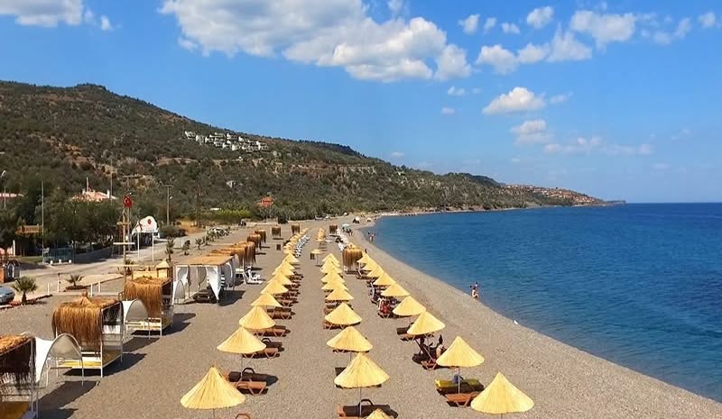 124429_wuciwug_5a41cd39_mehmet-unal-sah.jpeg