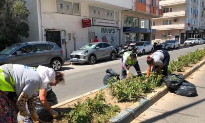 Demircioğlu Caddesi'nde Peyzaj Düzenleme Çalışmaları Sürüyor