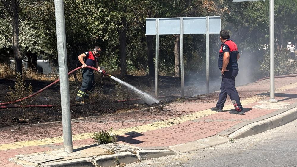 124543_wuciwug_b1a62af8_canakkale-de-yo.jpeg