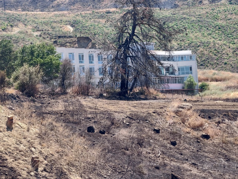 124563_wuciwug_e762e261_facia-yasanmada.jpeg