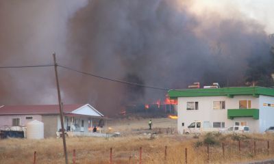  Bayramiç'teki orman yangınına havadan ve karadan müdahale devam ediyor