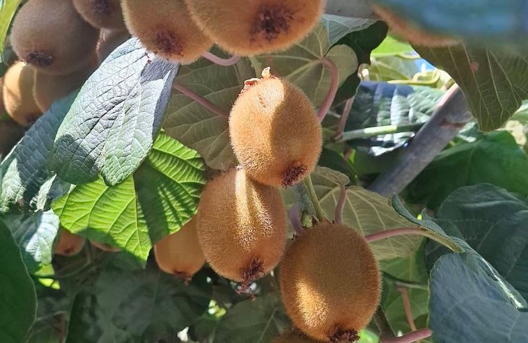 124634_wuciwug_d56ba53a_bir-tikla-basla.jpeg