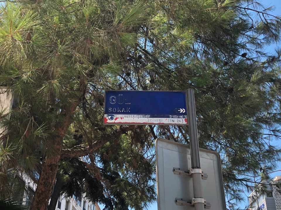 124695_wuciwug_3fdf71f2_gul-sokak-basta.jpeg