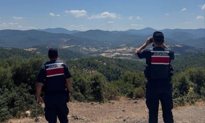 Çanakkale Jandarmasından 12 İlçede Yangın Önleme Çalışmaları