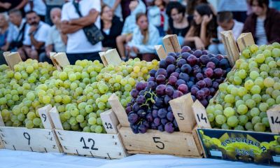 Bozcaada’da bağbozumu coşkusu! 26. festivalde ödüller ve en güzel üzümler sahiplerini buldu
