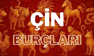 18 Ağustos 2026 Salı Günü Çin Burcu Yorumları