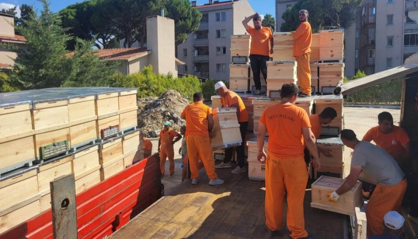 Küllerinden Doğan Üretim: Çanakkale’de Yangının Yaraları 2 Bin Kovayla Sarılıyor!