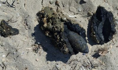 Çanakkale'de plajda savaştan kalma olduğu değerlendirilen askeri mühimmat bulundu