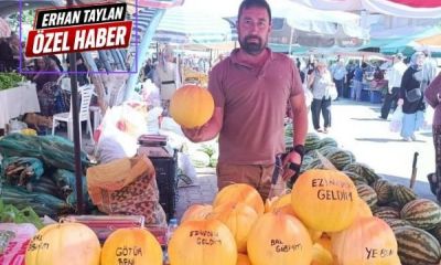 Konuşturan kavunlar tezgahta: “Ye Beni, Götür Beni!”
