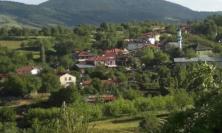 125308_wuciwug_e784b6b3_bin-pinarli-ida.jpeg