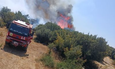 Ayvacık’ta Orman Yangını: Dibekli Köyü’nde Ekipler Seferber Oldu