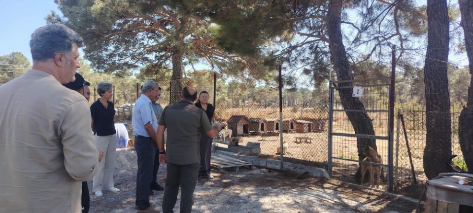125465_wuciwug_f4eae462_canakkale-de-so.jpeg