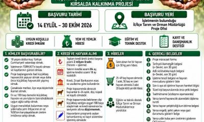 Çanakkale’de Küçükbaş Hayvancılığa 2 Milyon TL’ye Kadar Destek