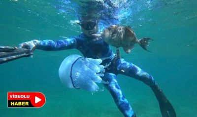  Çanakkale Boğazı'nda mavi denizanası istilası