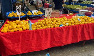 Adana’da Dalında 6 TL, Çanakkale’de Tezgâhta 150 TL!