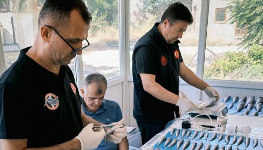 Çanakkale’den Hatay’a uzanan kıyılarda sonbahar örneklemesi başladı
