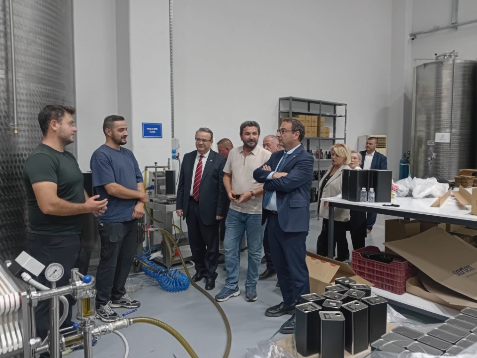 126295_wuciwug_fe01e26e_ridvan-uz-ezine.jpeg