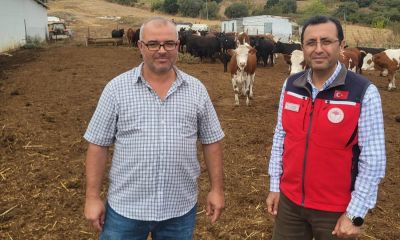 Biga’da 45 gebe damızlık hayvanla başlayan destek, ilk buzağılarla büyüyor