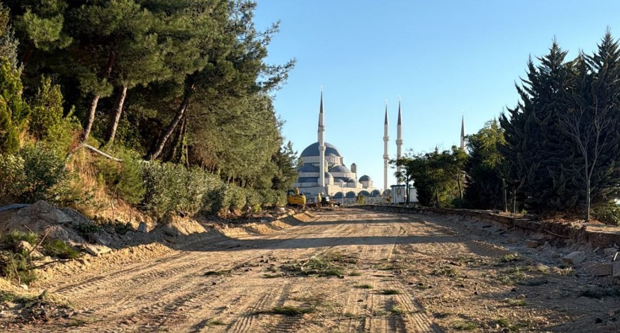 126558_wuciwug_79030c55_comu-terzioglu.jpeg