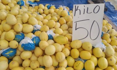 Limon tezgahta ucuzladı: 150 TL’den 50-70 TL’ye geriledi