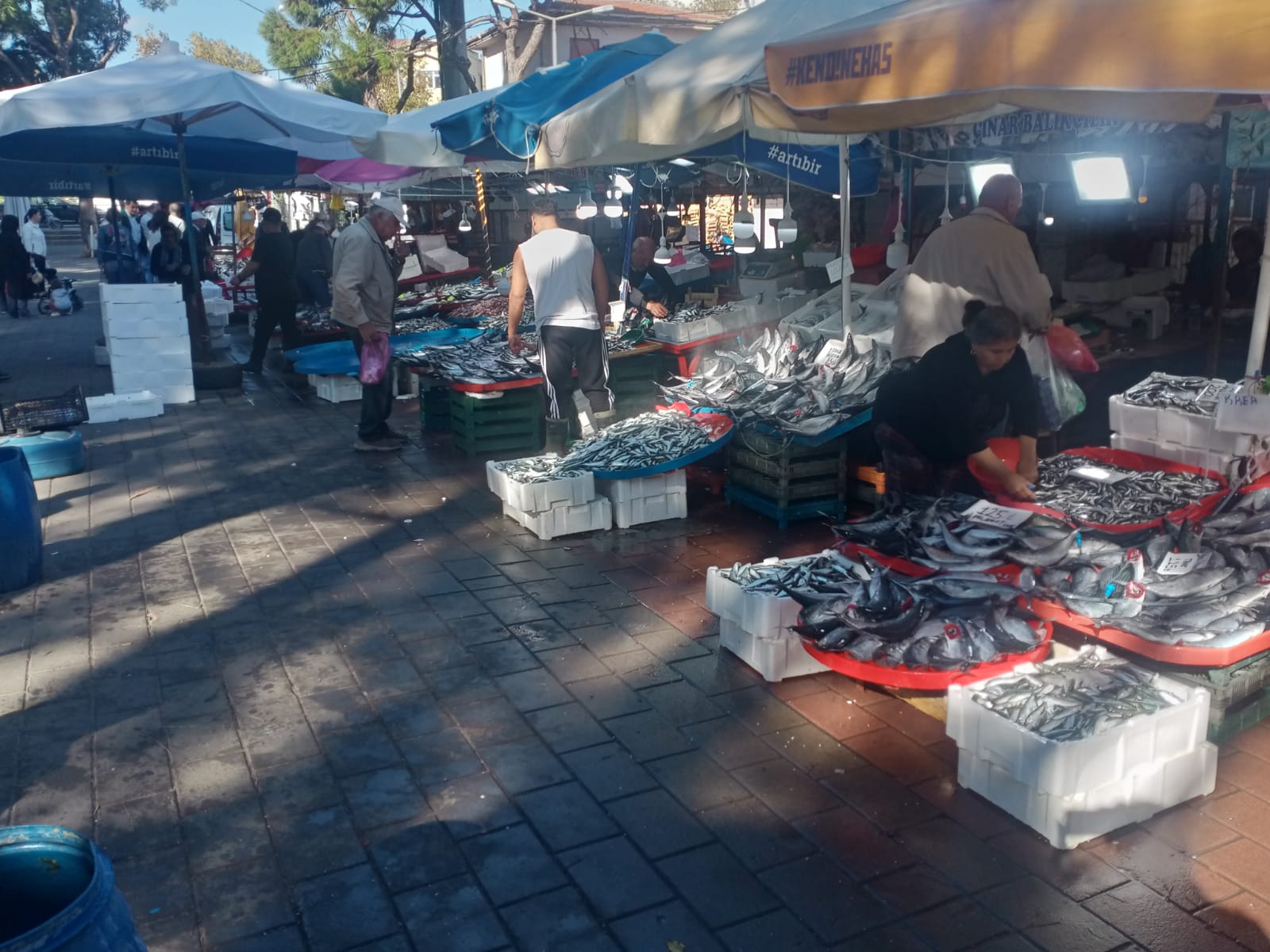 126685_wuciwug_1a14a917_canakkale-de-pa.jpeg