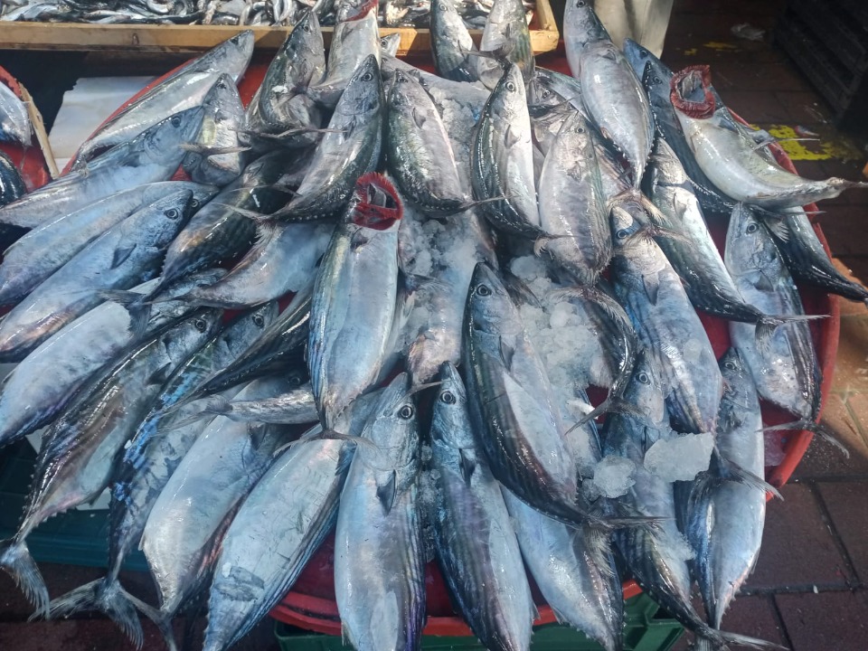 126685_wuciwug_612551aa_canakkale-de-pa.jpeg