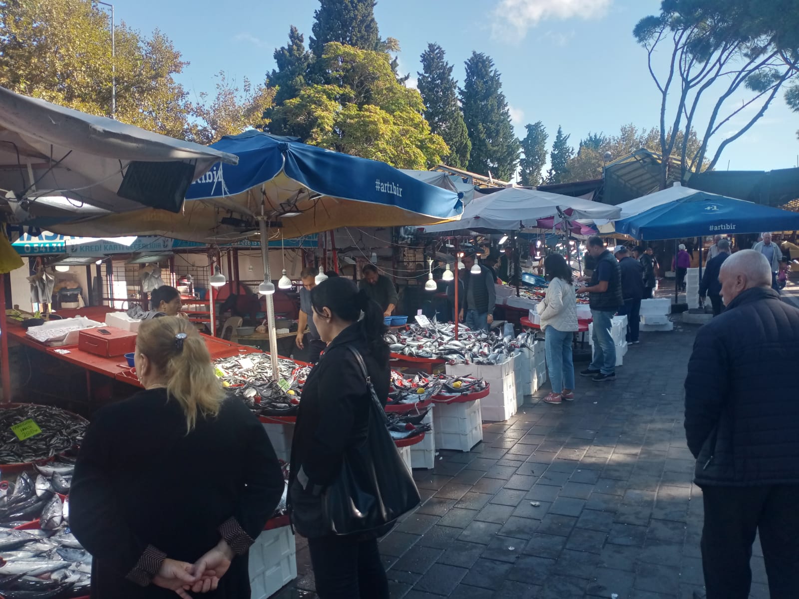 126685_wuciwug_ce325380_canakkale-de-pa.jpeg