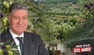 Mehmet Ünal Şahin’den Ayvacık zeytini çıkışı; 