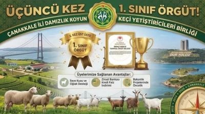 Çanakkale Damızlık Koyun Keçi Yetiştiricileri Birliği’nden üst üste 3. kez büyük başarı!