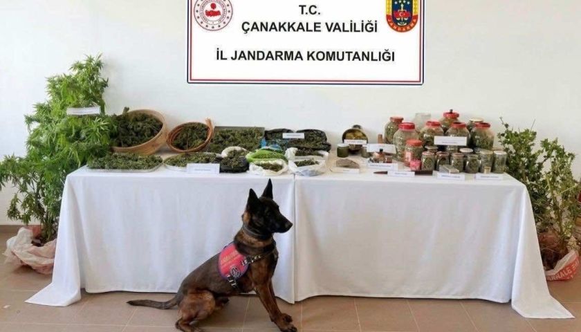 Eceabat’ta Jandarma Operasyonu: Uyuşturucu ve Fosil Ele Geçirildi