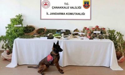 Eceabat’ta Jandarma Operasyonu: Uyuşturucu ve Fosil Ele Geçirildi