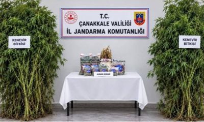 Bayramiç ve Ayvacık'ta narkotik operasyonları