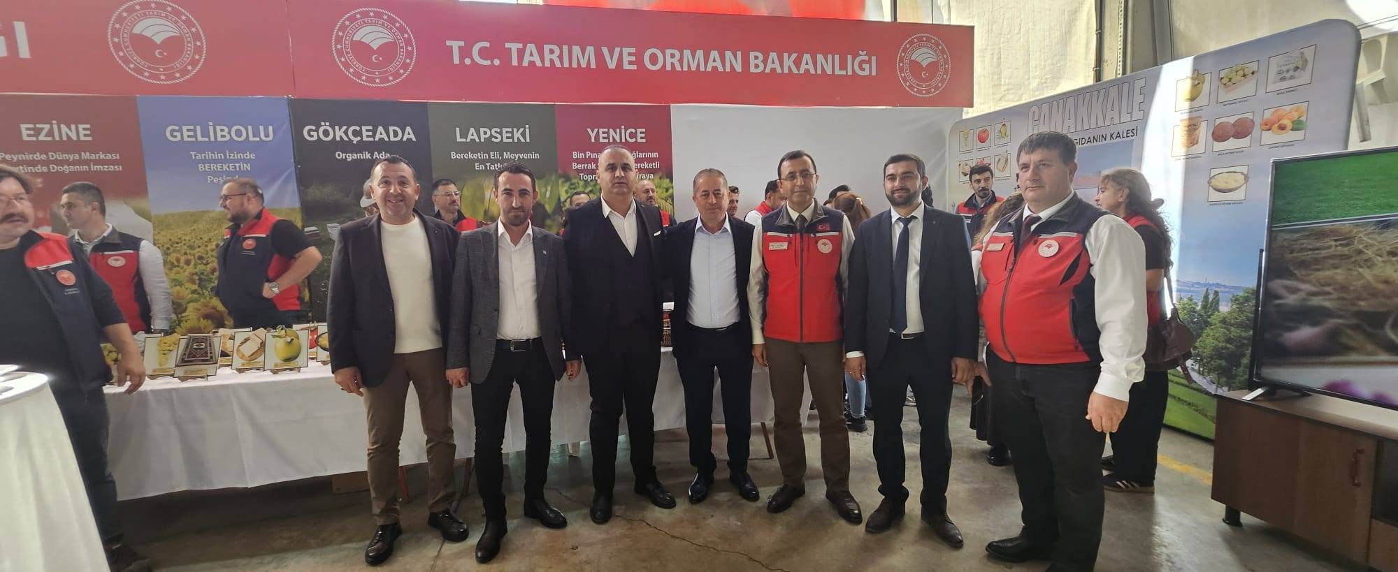 127276_wuciwug_45e63736_yenice-de-tarim.jpeg