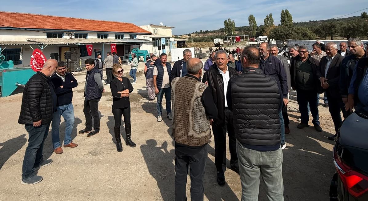 127325_wuciwug_56f94a63_zeytinde-taban.jpeg