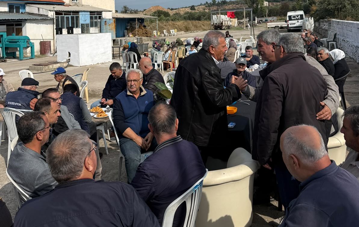 127325_wuciwug_5ea30860_zeytinde-taban.jpeg