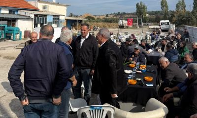 Zeytinde taban fiyat isyanı: En az kilosu 96 TL, yağı 360 TL olmalı