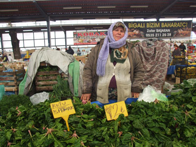 ayse_sonmez.jpg