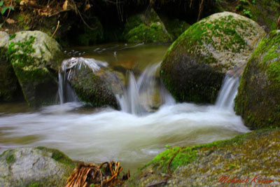 yenice--(5).jpg
