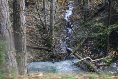 yenice--(7).jpg