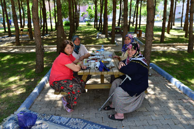 talatgoktepe4.jpg