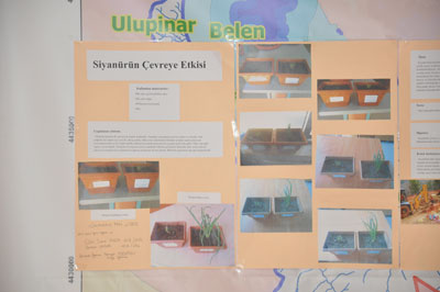 ulgur%20(2).jpg