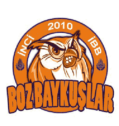 boz-baykuslar.jpg