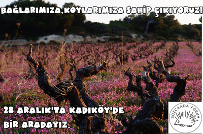 bozcaada%20(1).jpg