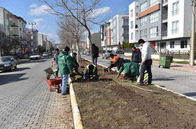 parkbahce%20(1).jpg