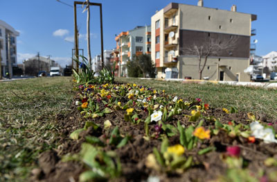 parkbahce%20(2).jpg